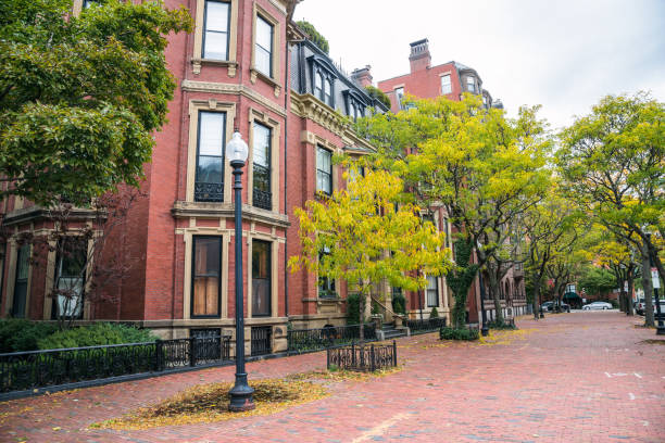 istock Brick residential buildings along a tree lined sidewalk 1208623298