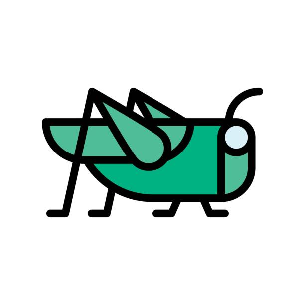 illustrazioni stock, clip art, cartoni animati e icone di tendenza di vettore bug cavalletta legato al clima con ictus modificabile, - grasshopper
