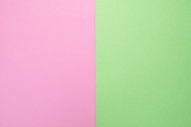 Minimal creative flat lay with decorative green cracker at green pastel background. Green monochrome concept.