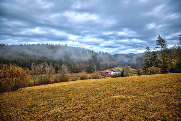 istock A little bavarian farm in the forest 1208625064