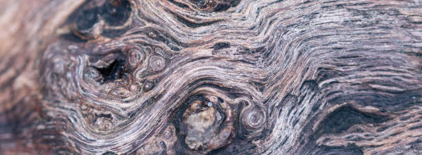 istock Old oak wood texture, vintage web banner with selective focus 1208625223