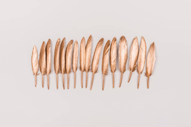 Group of golden painted feathers on pastel background.