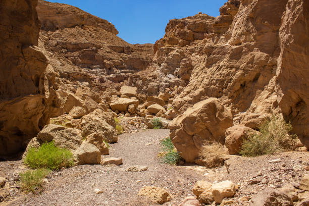 istock soft focus sand stone canyon passage between rocky mountains dry global warming scenic view concept in Israeli desert Negev 1208628602