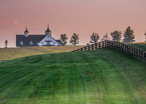 Black Fence Leads over the Hill in Kentucky horse country