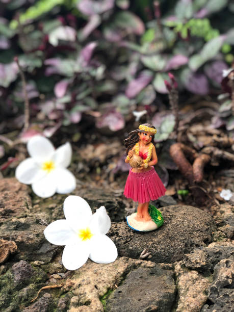 istock Hawaiian Hula Girl 1208630063