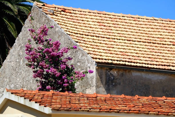 istock Architecture in Vela Luka, Croatia 1208631238