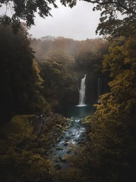 Photo of Waterfall Through Trees