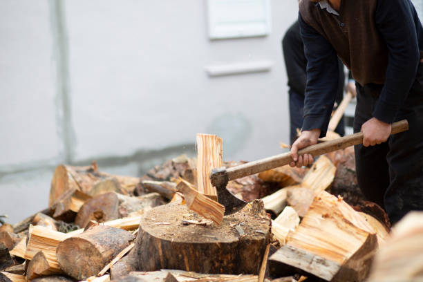 istock Woodcutters who break wood with an axe in Turkey 1208633848
