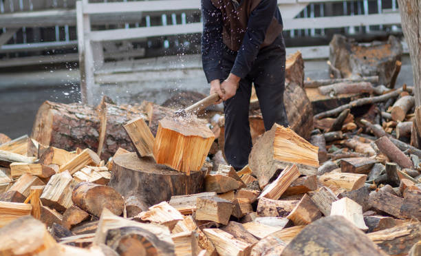 istock Woodcutters who break wood with an axe in Turkey 1208634478