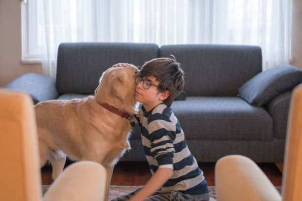 istock Boys playing with her dog in the living room 1208635233