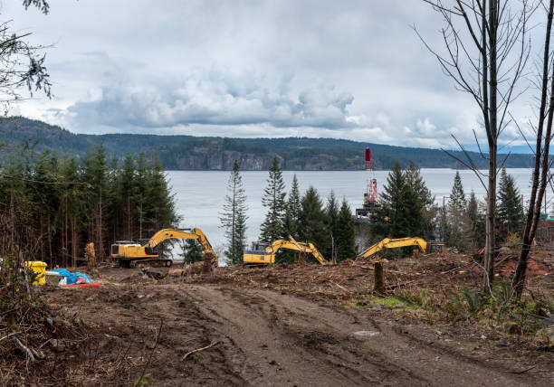 Deforestation along the Strait of Georgia on Vancouver Island, B.C.