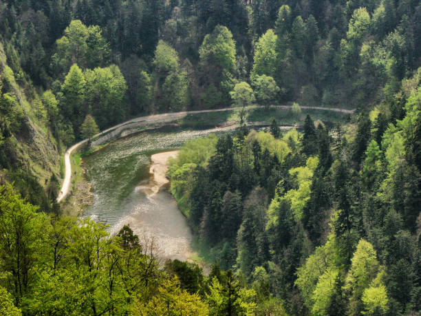 Rafting down the Dunajec gorge - Pieniny Mountains - Poland