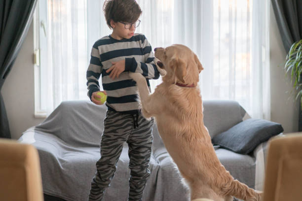 リビングルームで彼女の犬と遊ぶ男の子 - domestic life jumping child sofa ストックフォトと画像