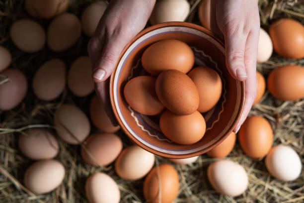 istock Bowl with chicken eggs in woman hands. Preparing for Easter 1208636903