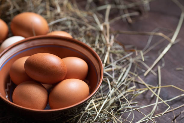 istock Brown eggs in a nest. Homemade chicken eggs 1208637052