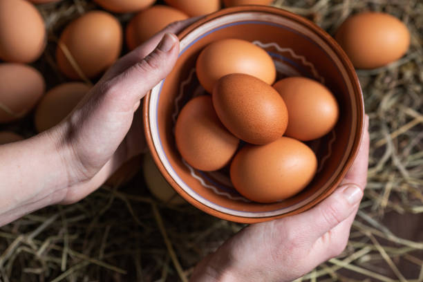 istock Bowl with chicken eggs in hands.  Natural Organic Food 1208637131