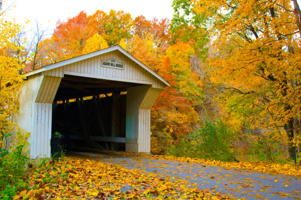 Bridge-Adams Mill covered bridge-Carrol County Indiana Bridge-Adams Mill covered bridge-Carrol County Indiana indiana covered bridge stock pictures, royalty-free photos & images