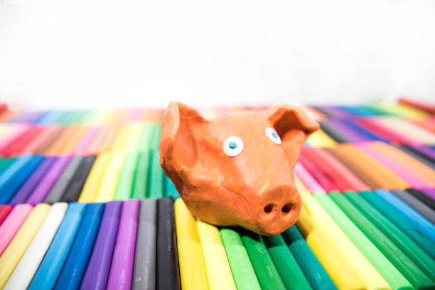 Play clay Animals. Pig on colored background.