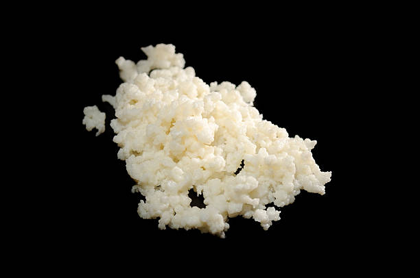 istock Tibetan Healing Fungus (Tibetan Milk Mushroom) 120864247