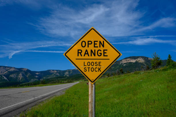 istock Open Range Loose Stock Sign on Side of Road 1208643471
