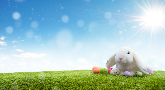 Bunny and Decorated Eggs on Fresh Grass