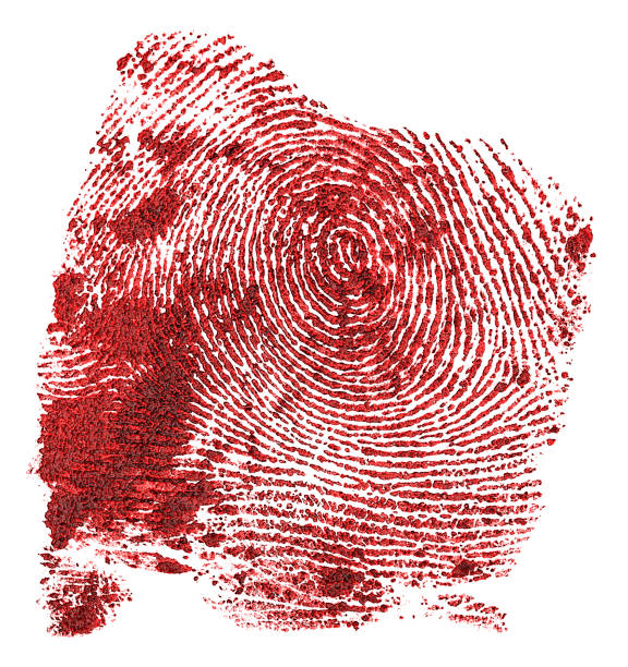 impressão digital sangrenta isolada em um fundo branco. impressão digital vermelha. estilo criminoso. - fingerprint thumbprint identity red - fotografias e filmes do acervo