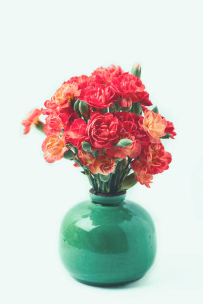 istock Bouquet of red carnation 1208646004