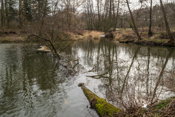 istock Landscape from a drone showing the river Grabia, Poland – 2020. 1208648063