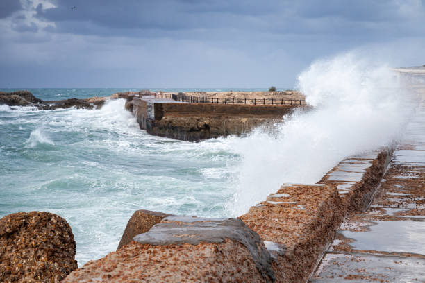 istock Stormy Mediterranean Sea. Montazah beach. Egypt 1208651382