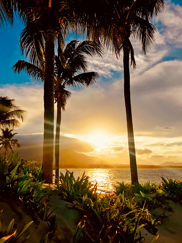 Sunset between palm trees on the beach of Puerto Plata, Dominican Republic.