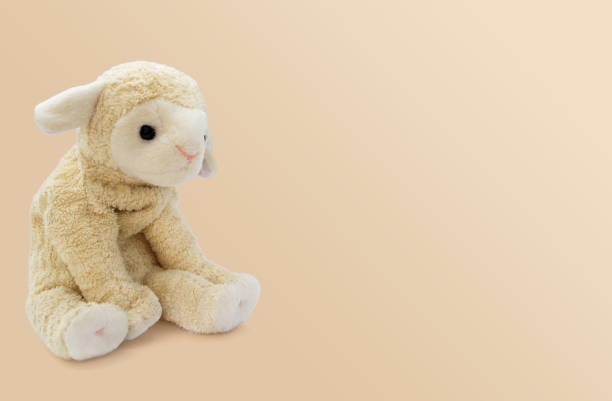 柔らかいおもちゃの小さな羊は明るい背景に座っています - jumbuck ストックフォトと画像