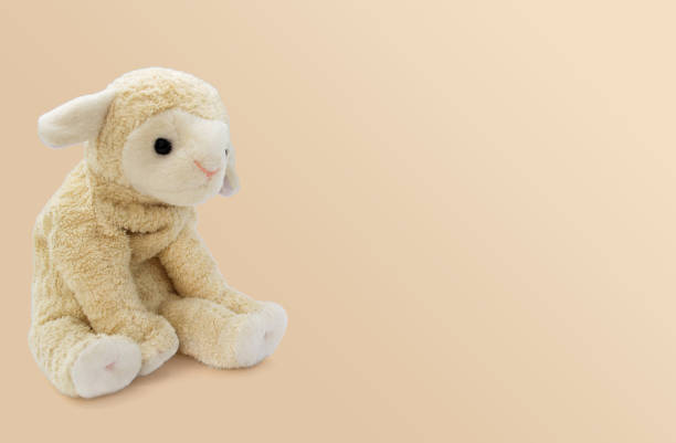 the soft toy little sheep sits on a bright background - jumbuck imagens e fotografias de stock