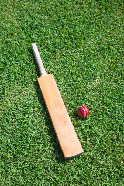 крикет летучая мышь и мяч на зеленой траве - cricket bat стоковые фото и изображения