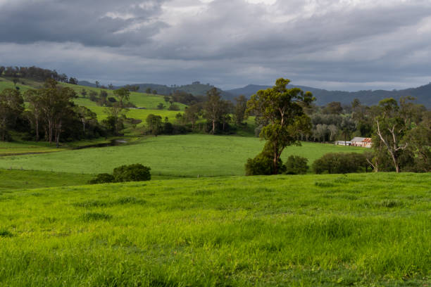 istock Rural Countryside green after the rain. 1208661217