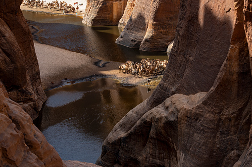 View into the legendary Guelta d’Archeï, the mystic spring of water inside the remote Ennedi Mountains in the Sahara desert, North-East Chad. This place is since centuries one of the main sources of water for the Tubu people and their camel herds. The Ennedi massif was declared as an UNESCO World Heritage site in 2016.