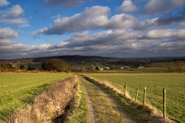 istock Landscape near Epen 1208661707