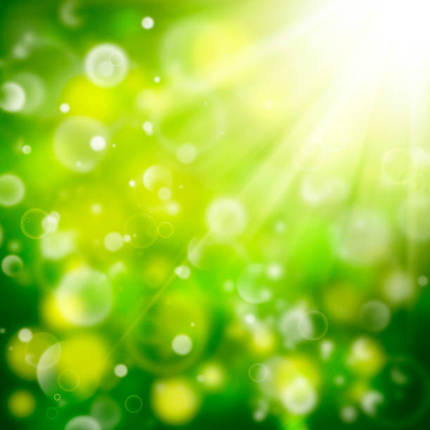 istock Green bokeh background, summer, spring, yellow white, circles, spots, rays, blurred 1208662760