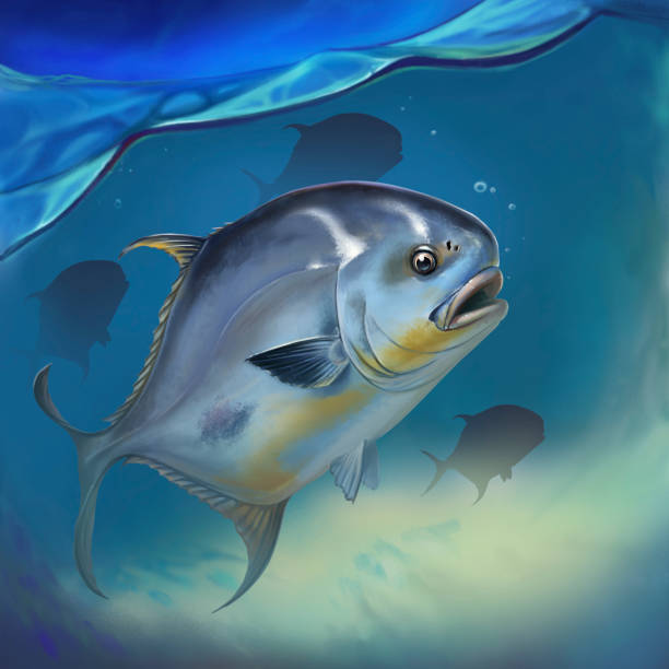 Permit Fish Character 600+ Permit Fish Stock Illustrations, Royalty-Free Vector Graphics ...