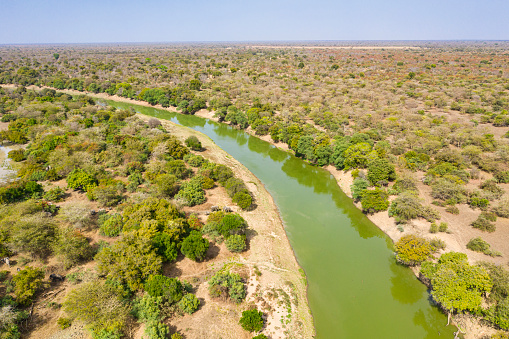 Aerial view of Salamat river in Zakouma National Park, Chad. Zakouma National Park is situated just south of the Sahara desert and above the fertile rainforest regions of Chad. The Greater Zakouma Ecosystem is well positioned as the primary safe haven for Central and West African wildlife.