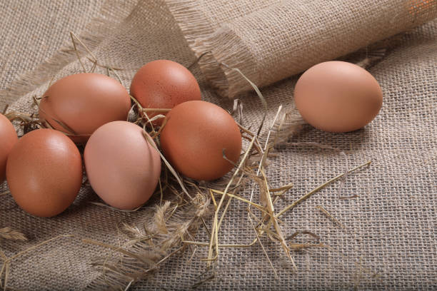 Healthy homemade eggs in hay on linen canvas background.
