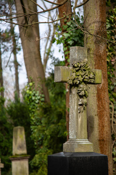istock gravestones on a former cemetery with old trees in the background 1208667835