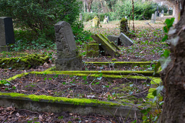 istock gravestones on a former cemetery with old trees in the background 1208667886