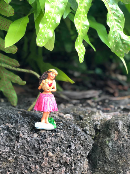 istock Hawaiian Hula Girl 1208668929