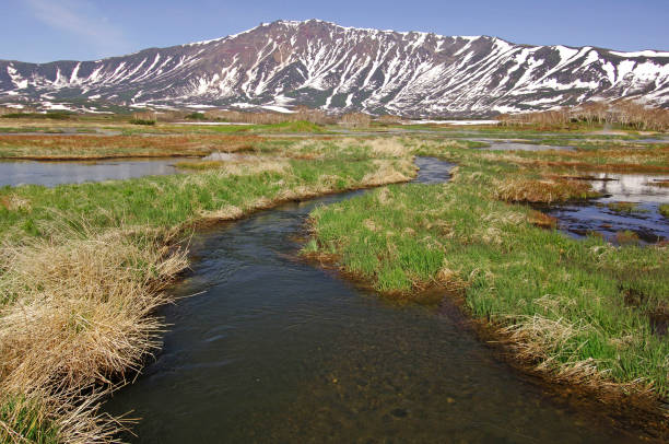 istock fascinating nature of Kamchatka 1208671399