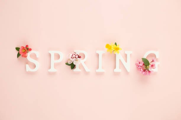 istock White wooden letters make up the spring composition with fresh spring flowers. Minimal concept. Top view 1208672895