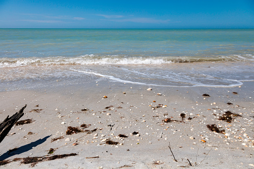 Beach with shells and waves in the background horizon and blue sky, Sanibel Island, Florida, USA