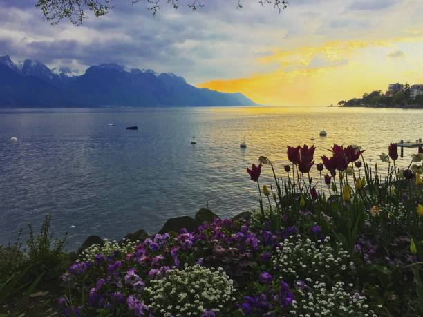Geneva lake landscape