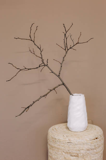 istock decor vase branch wicker pouf design interior 1208676526