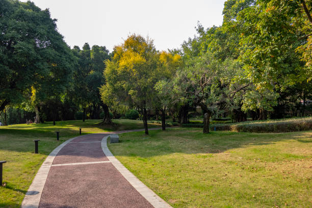 istock Fitness path in the park 1208678841