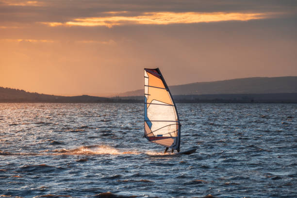 Windsurfer Surfing The Wind On Waves at Sunset Windsurfer Surfing The Wind On Waves In Neusiedl Lake in Austria at Sunset. Recreational Water Sport. Summer Fun Adventure Activity. windsurfing stock pictures, royalty-free photos & images